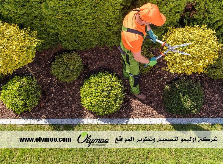 شركة تنسيق حدائق بالرياض