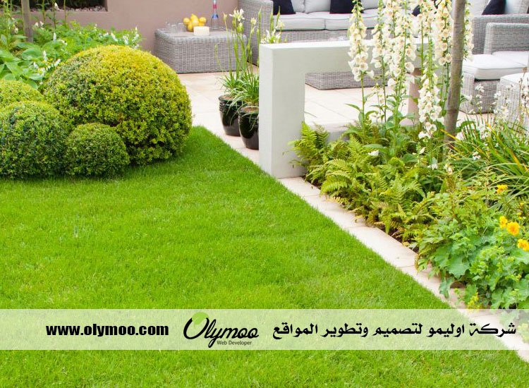 شركة تنسيق حدائق بالرياض
