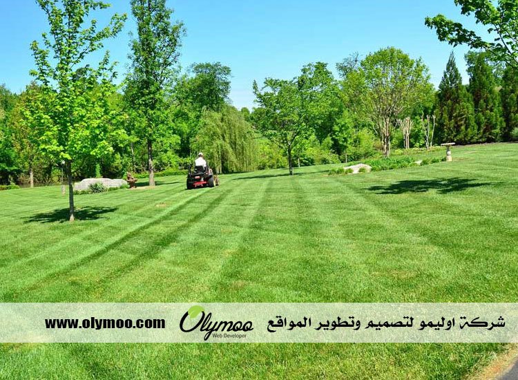 شركة تنسيق حدائق بالرياض