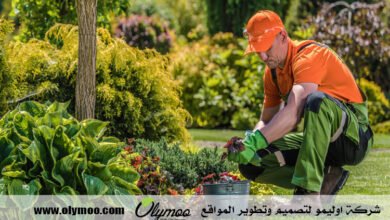 شركة تنسيق حدائق بالرياض