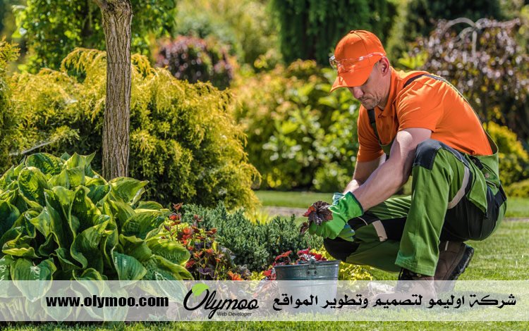 شركة تنسيق حدائق بالرياض