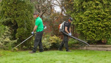 شركة تنظيف احواش في راس الخيمة