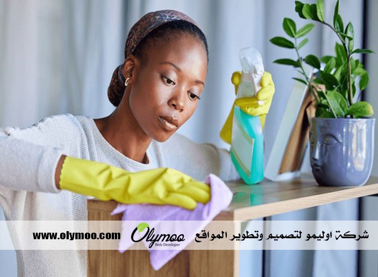 شركة تنظيف في دبي