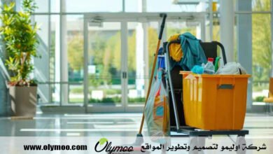شركة تنظيف في دبي