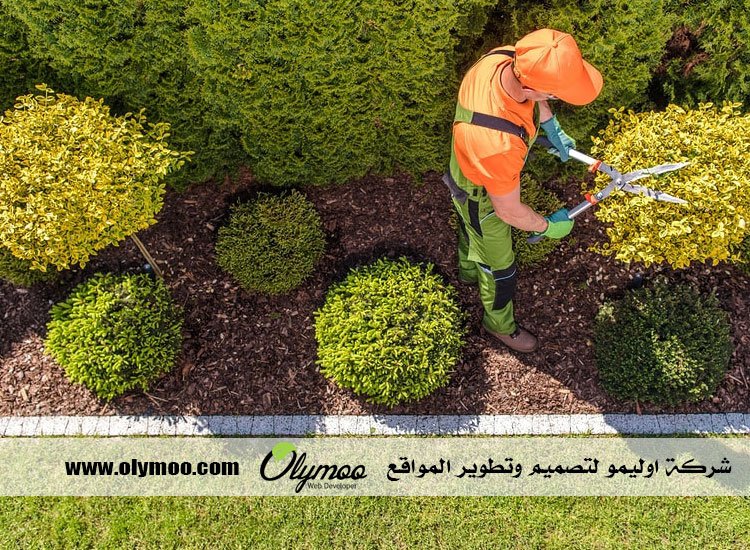 تنسيق حدائق بالرياض