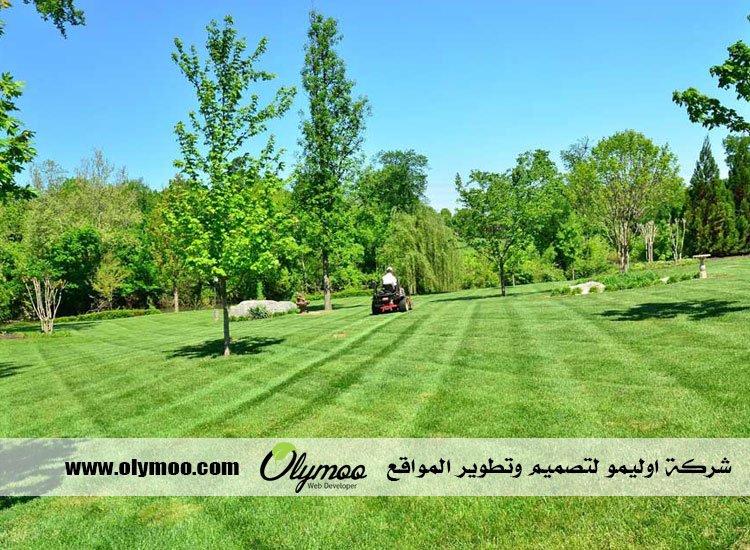 تنسيق حدائق بالرياض