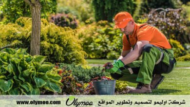 تنسيق حدائق بالرياض