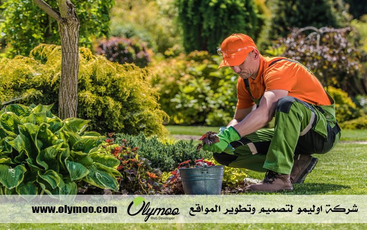 تنسيق حدائق بالرياض