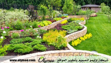 شركة تنسيق حدائق بالرياض