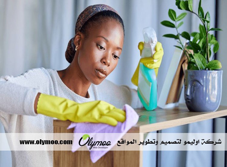 شركة تنظيف في دبي