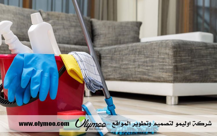 شركة تنظيف في دبي