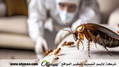 شركة مكافحة العتة بجدة
