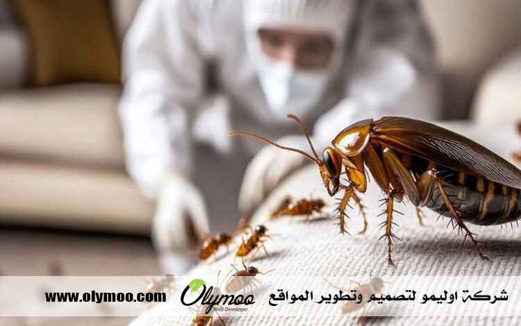شركة مكافحة العتة بجدة