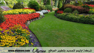 شركة تنسيق حدائق بالرياض