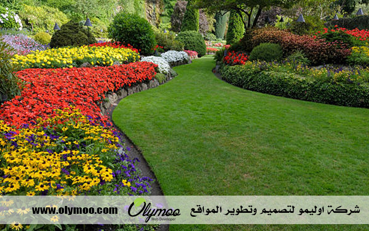 شركة تنسيق حدائق بالرياض