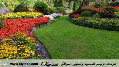 شركة تنسيق حدائق بالرياض