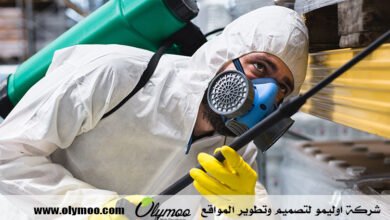 شركة مكافحة حشرات في دبي